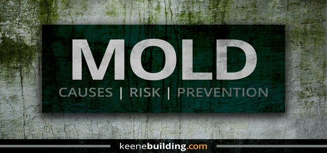 Mold: Causes, Risk, and Prevention